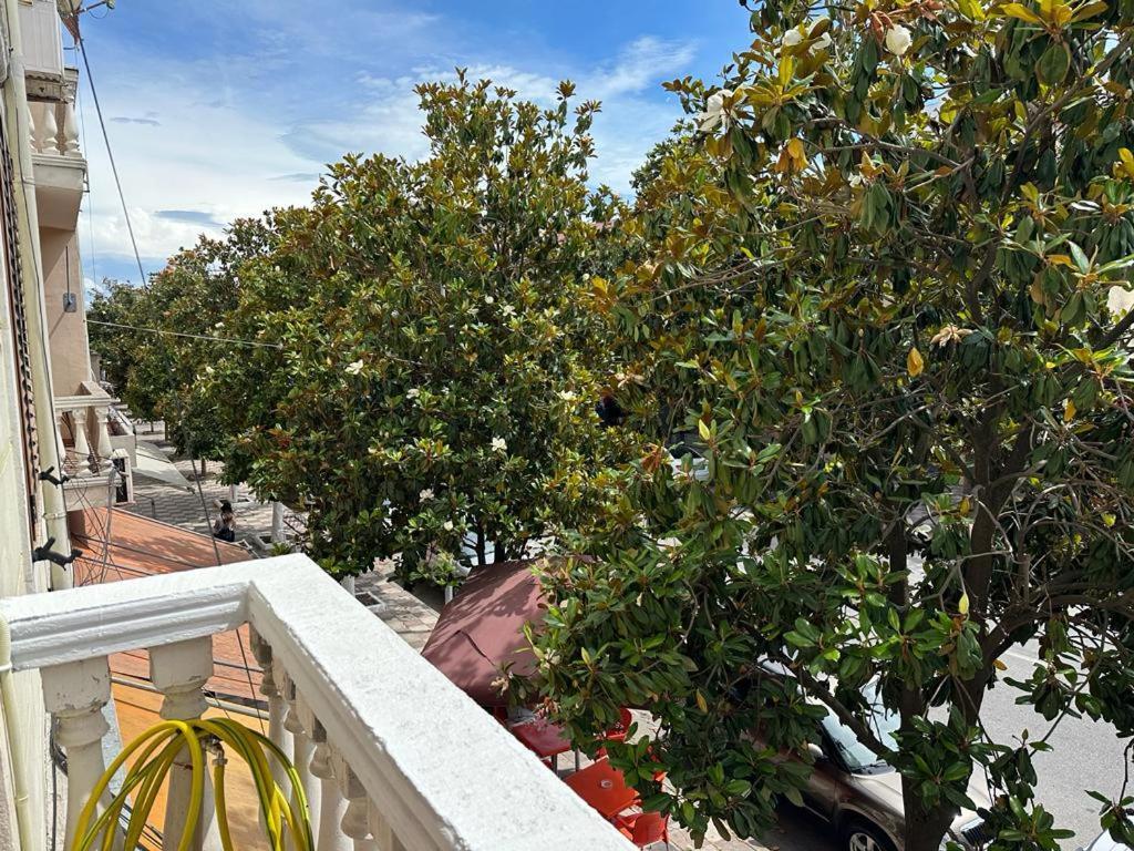 City Center Shkodra B&B Eksteriør bilde